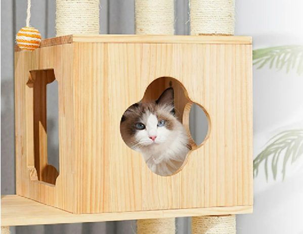 キャットタワー